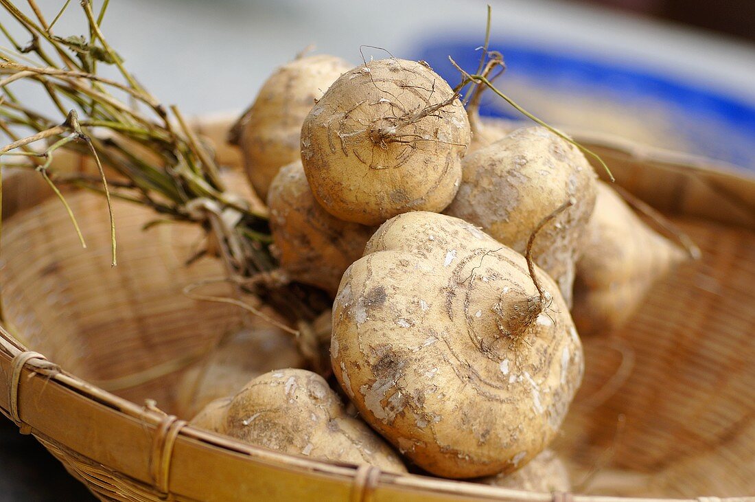 Yam bean, Thailand