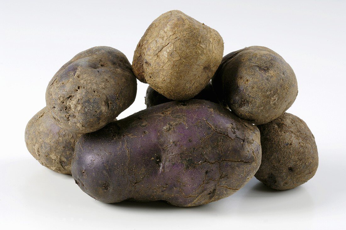 Mehrere Kartoffeln der Sorte 'Hermanns Blaue'