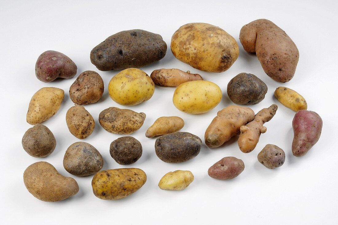 Various types of potatoes on white background
