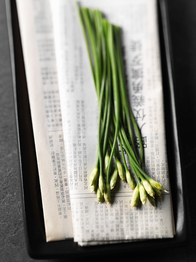 Garlic chives on Chinese paper