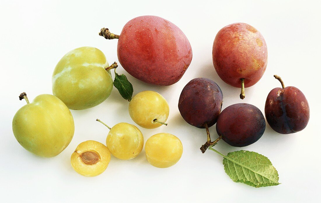 Various types of plums on white background