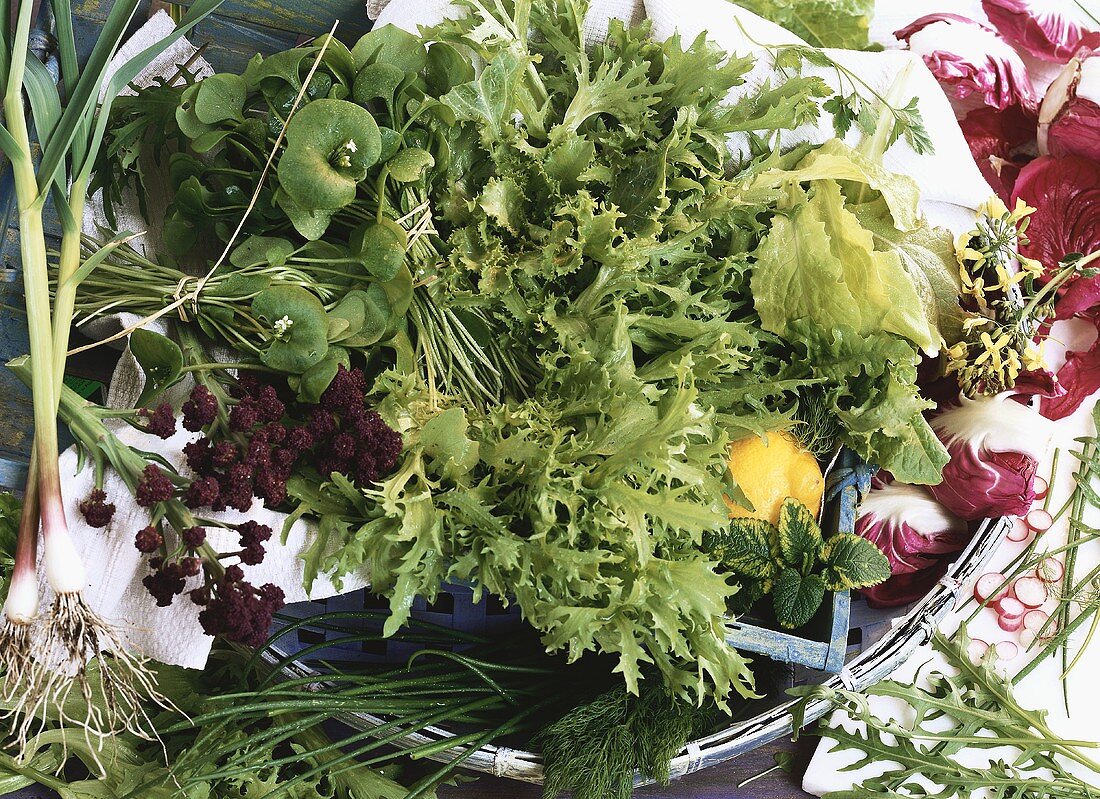 Still life with spring salad crops