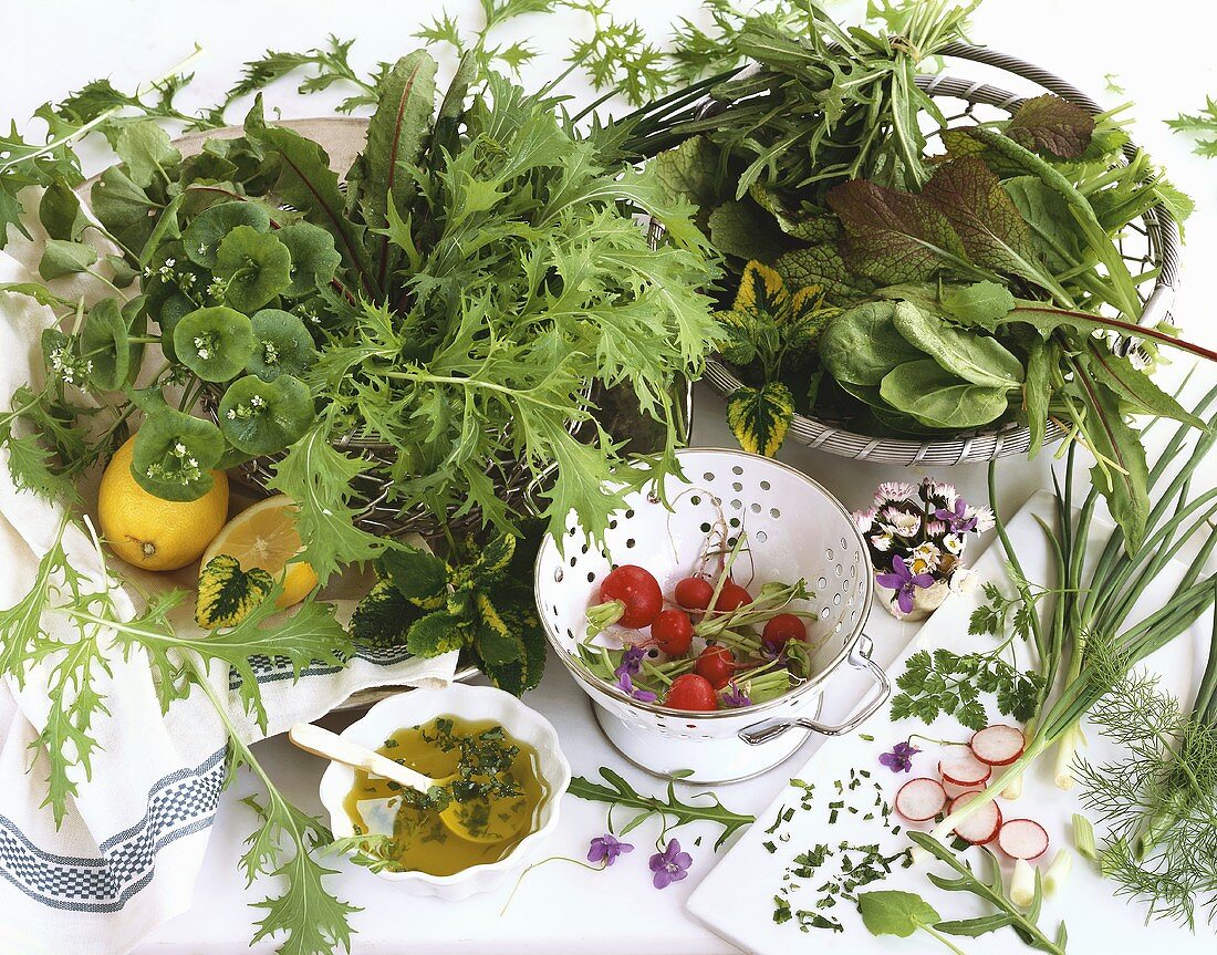 Zutaten und Vinaigrette für gemischten Blattsalat