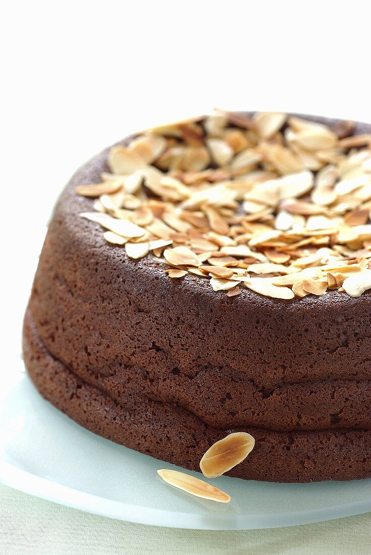 Chocolate cake with flaked almonds