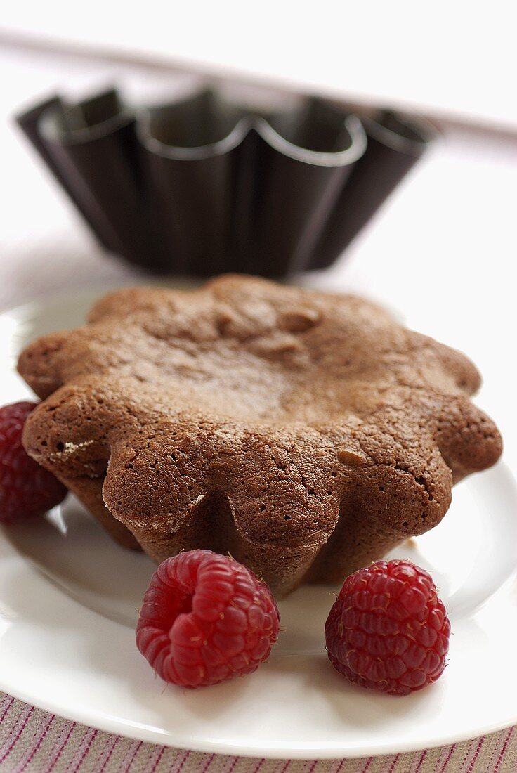Chocolate bun with raspberries