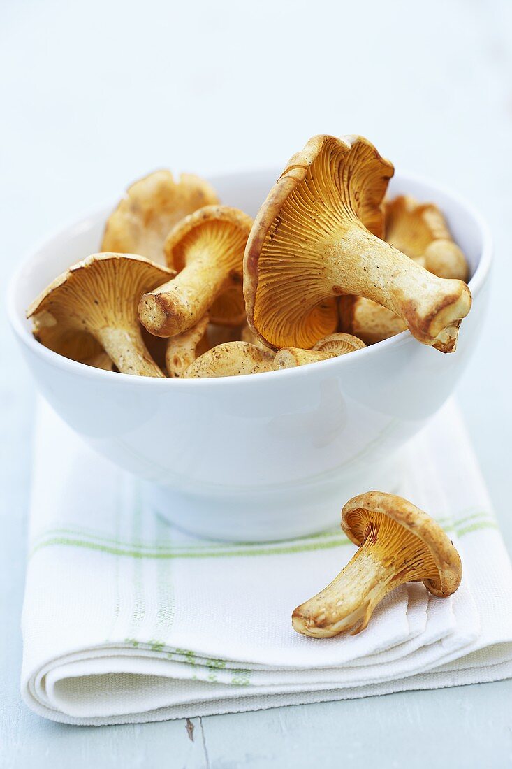 Chanterelles in a small bowl