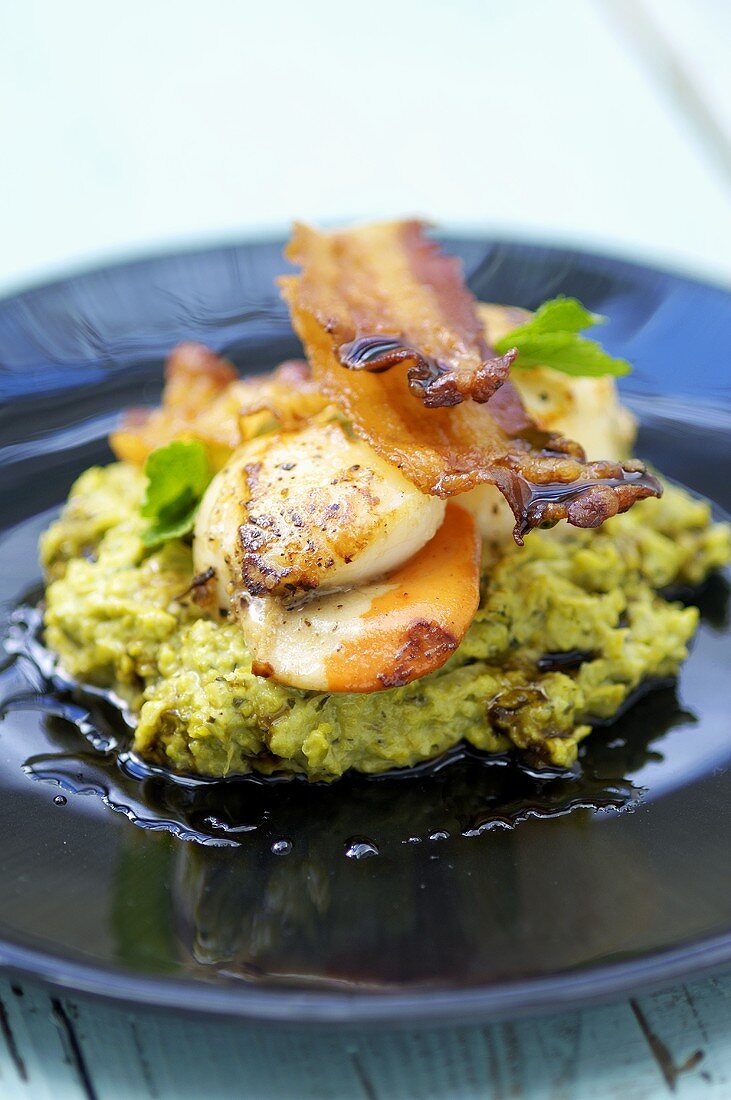 Scallops on pea puree with bacon