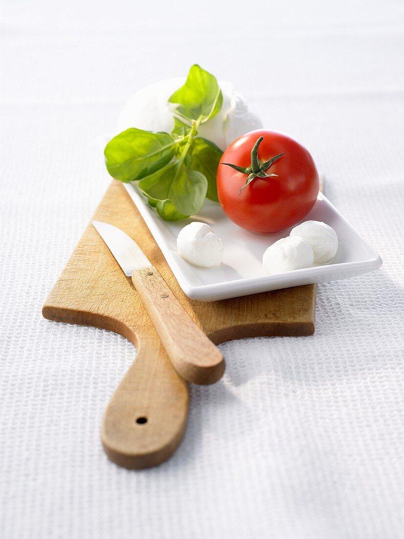 Tomaten, Mozzarella, und Basilikum auf einer Platte