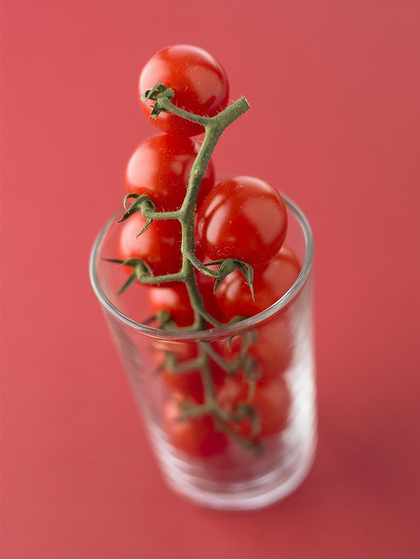 Cherry tomatoes on the vine standing in a glass