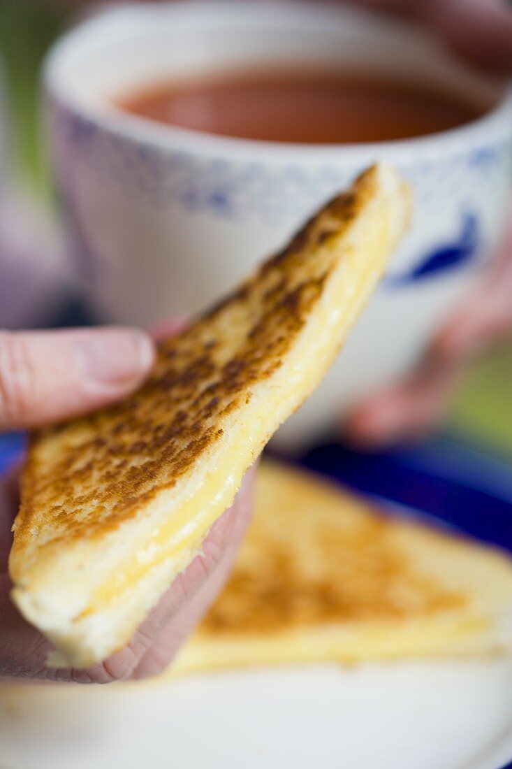 Cheese sandwich and tomato soup