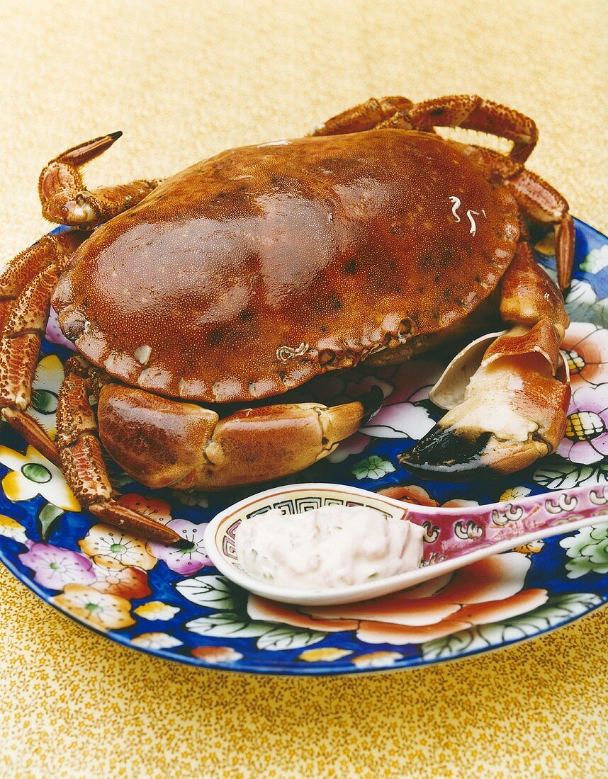 A crab with dip