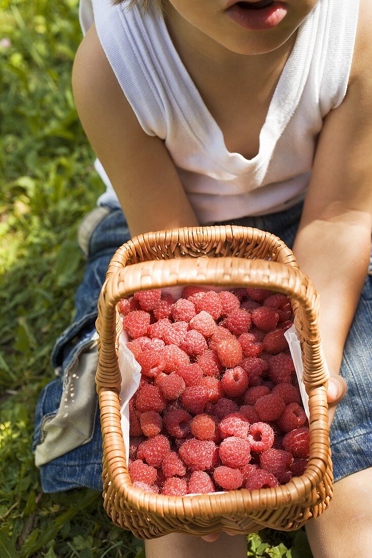 Child holding a basket of fresh raspberries