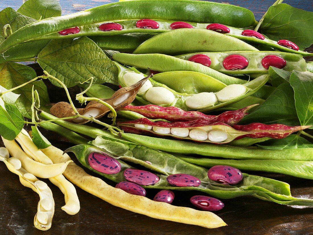Mixed beans with pods
