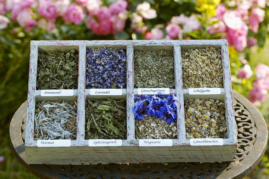 Dried herbs and flowers in typesetter's case