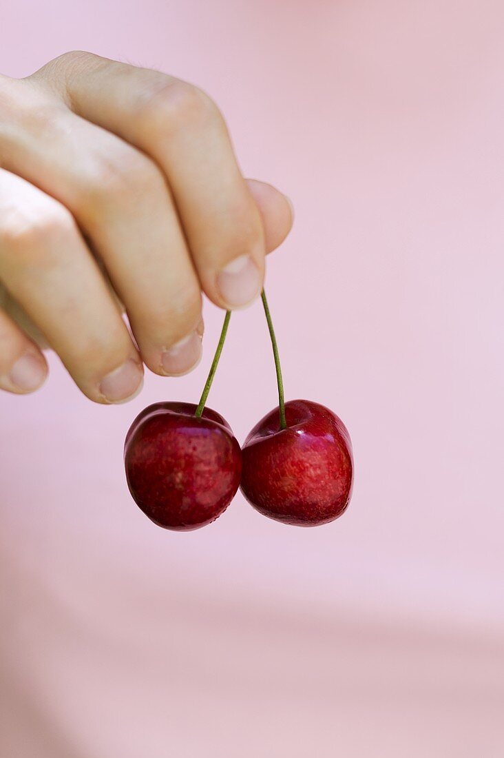 Hand holding a pair of cherries