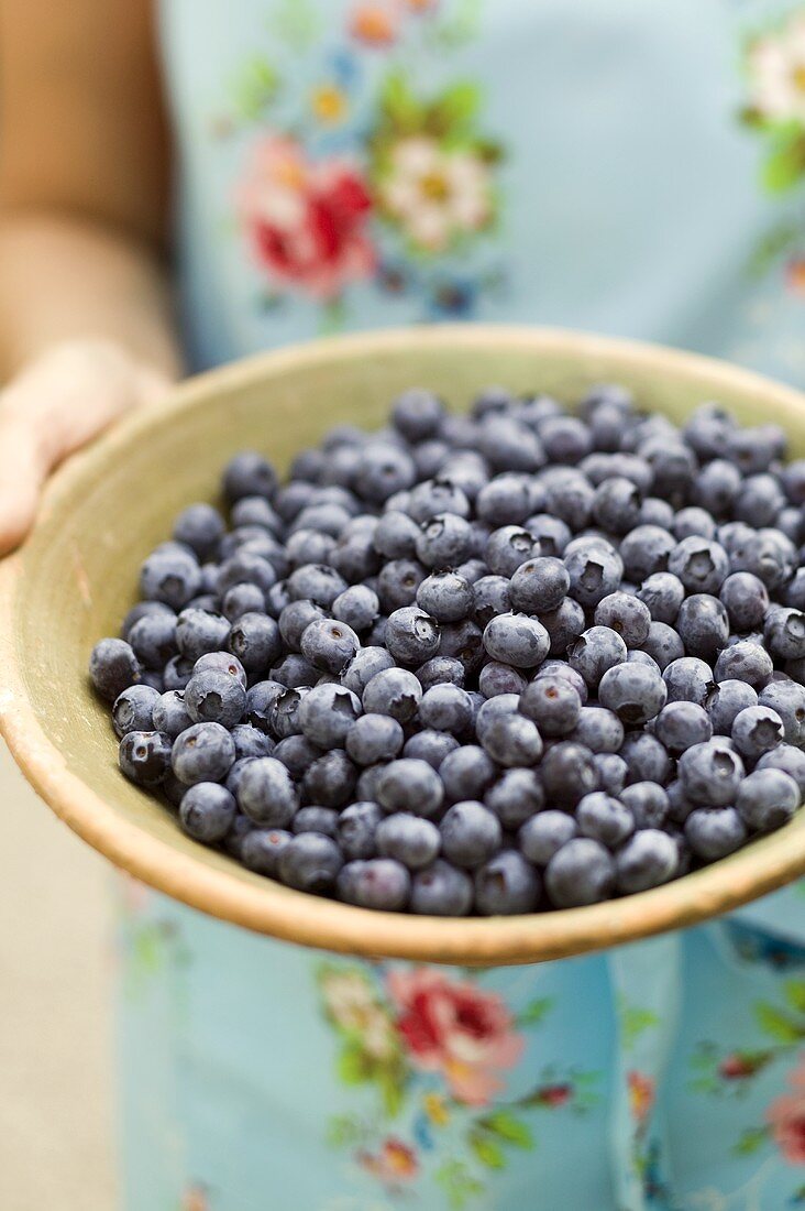 Hands holding a bowl of fresh blueberries