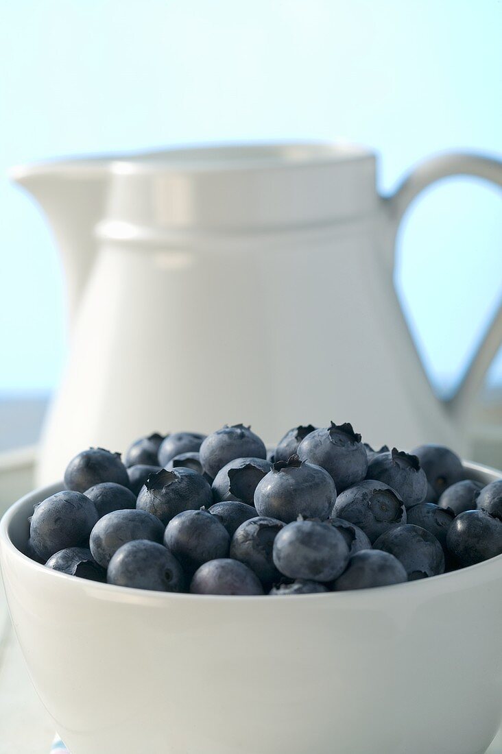 A bowl of fresh blueberries