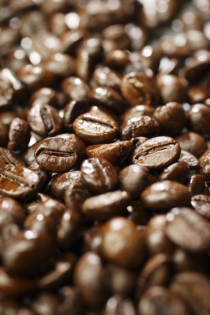 Coffee Beans