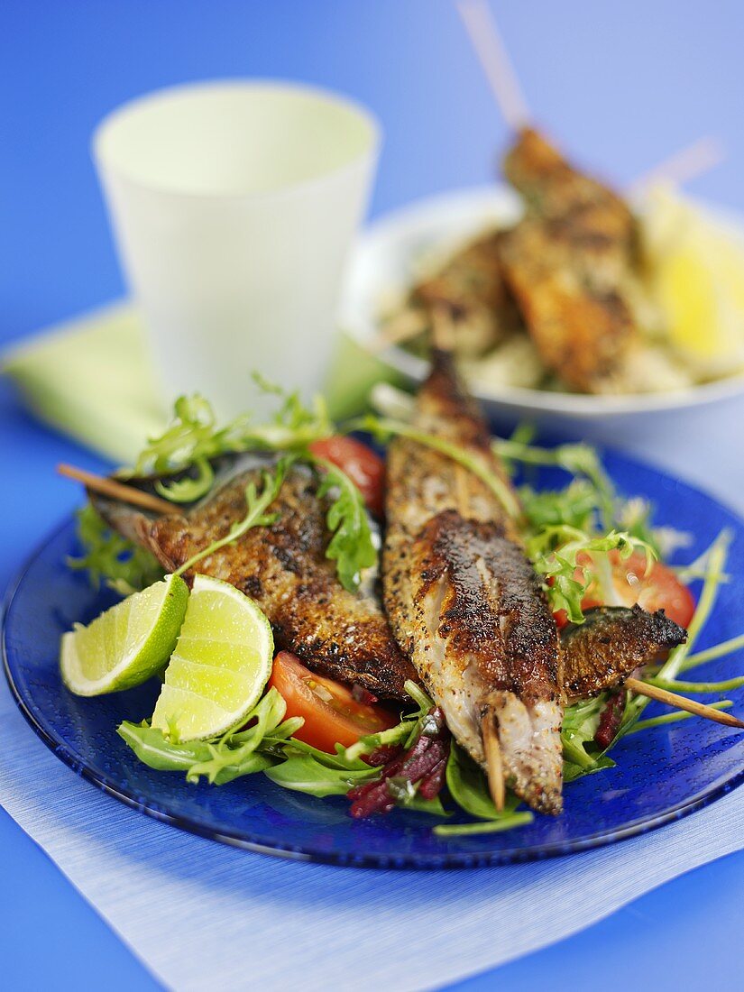 Grilled skewered fish on mixed salad