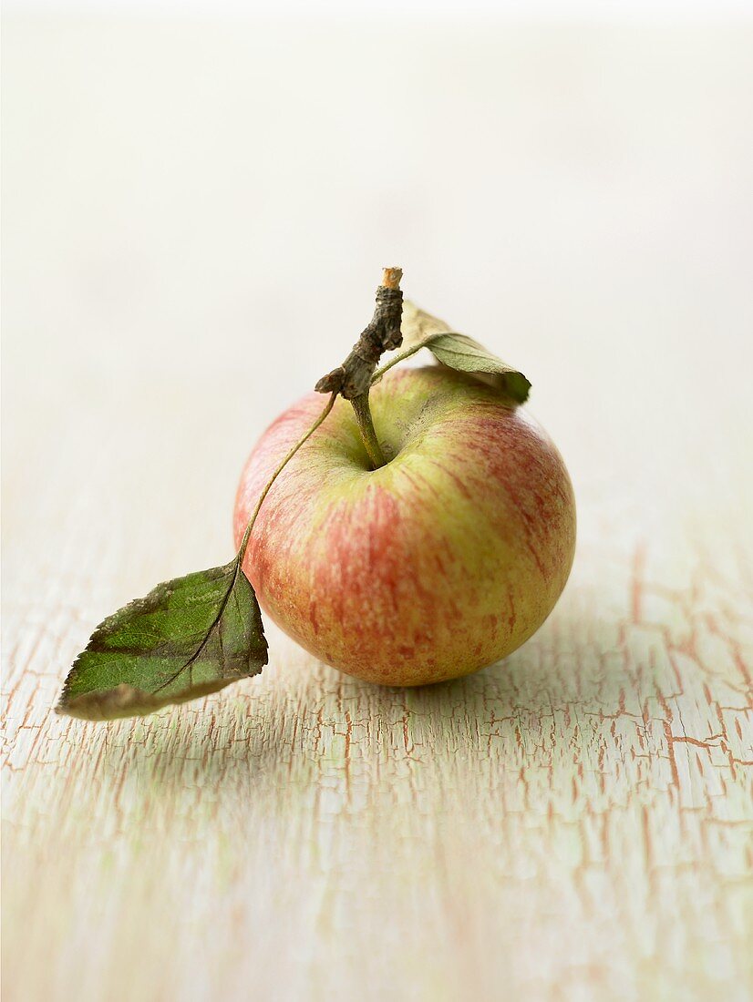 An apple with leaves