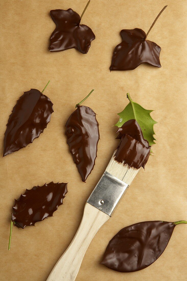 Making chocolate leaves (painting leaves with chocolate)
