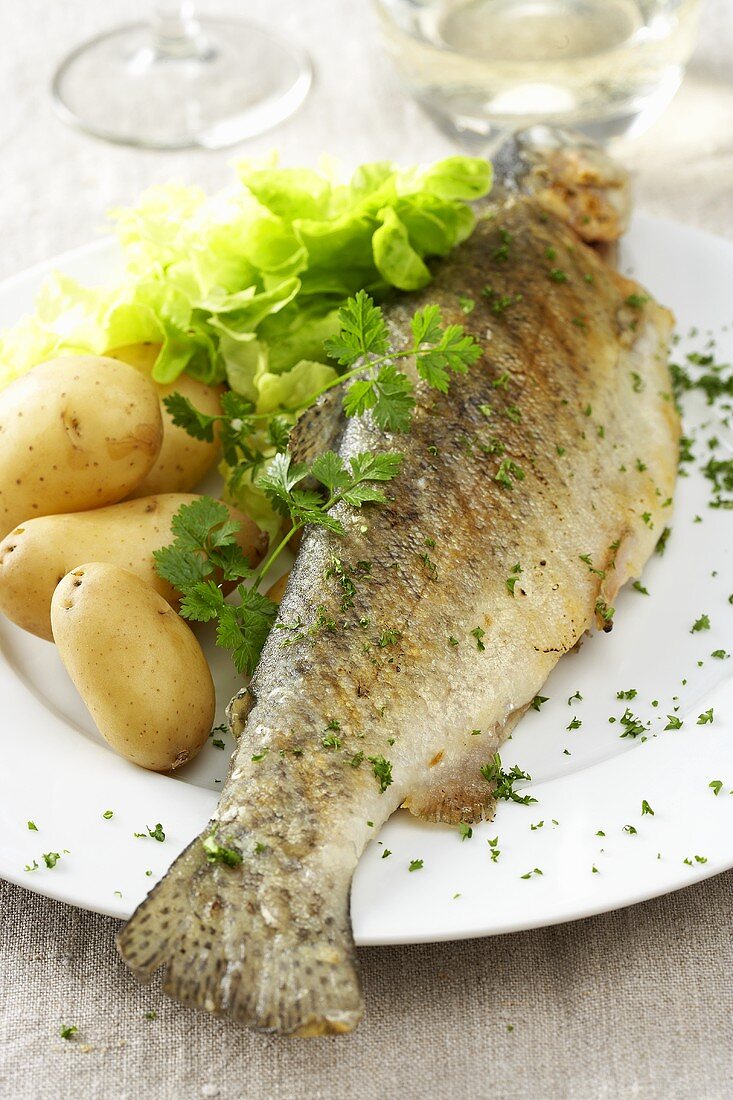 Gebratene Forelle mit Pellkartoffeln und Salat