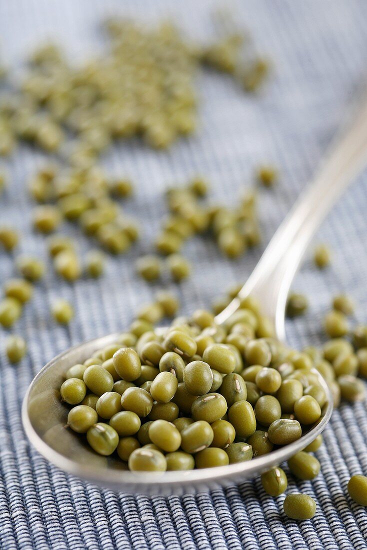 Mung beans on a spoon