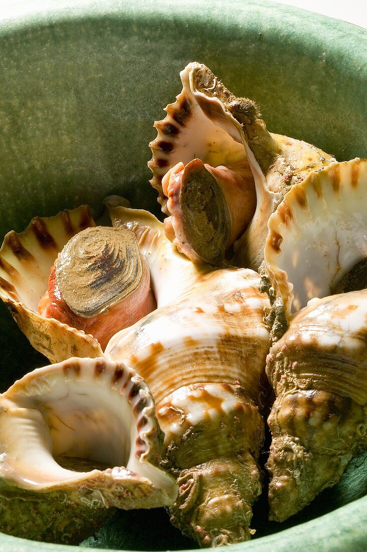 Boiled whelks