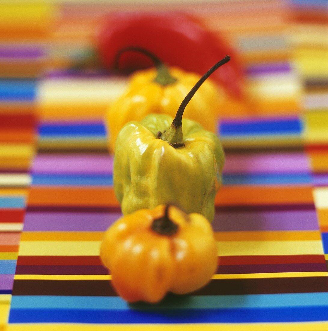 Four Habanero chillis