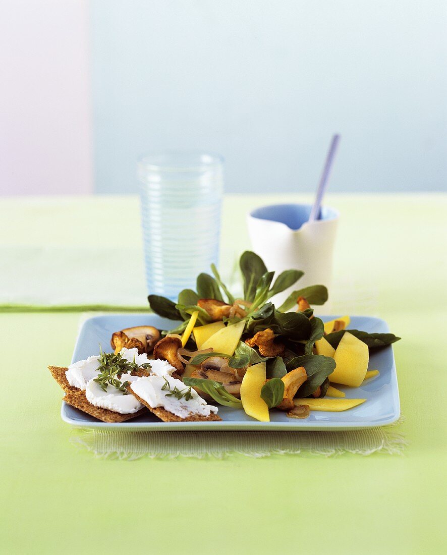 Corn salad with mango & mushrooms & soft cheese on bread