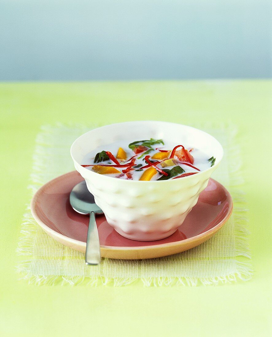 Kokosmilchsuppe mit Gemüse