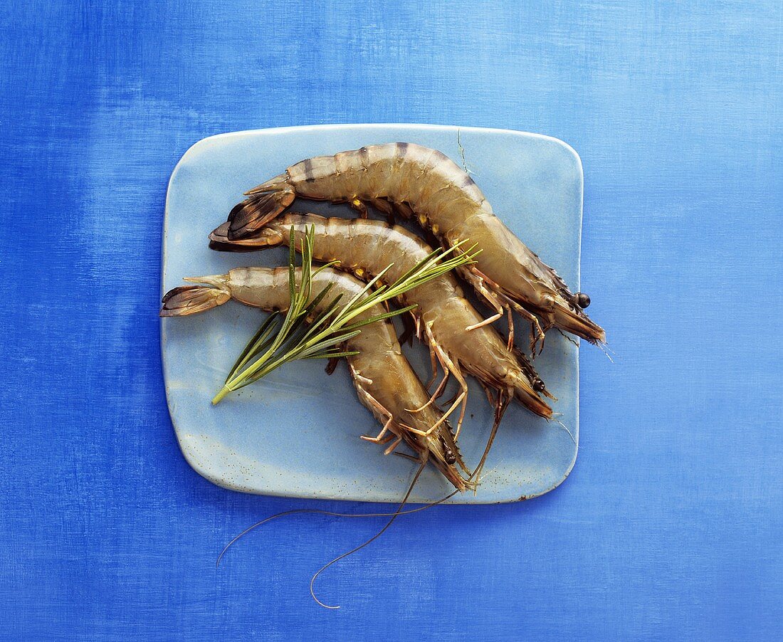 Three king prawns with sprig of rosemary on a platter