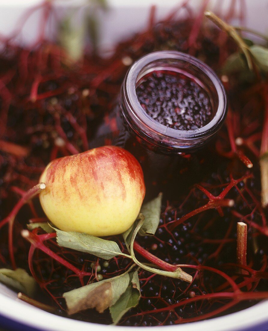 A jar of elderberry and apple jam among elderberries