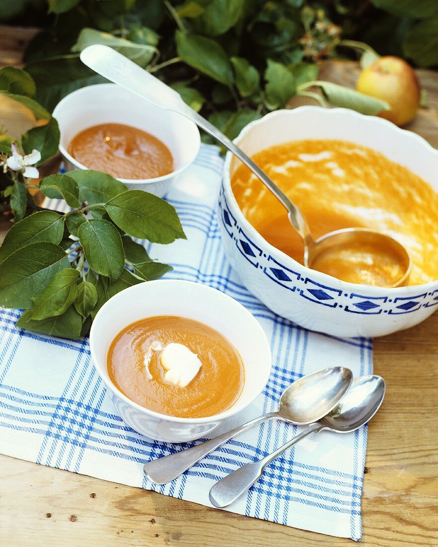 Apfel-Karotten-Suppe