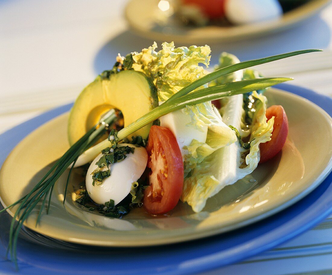 Avocado salad with tomatoes and mozzarella
