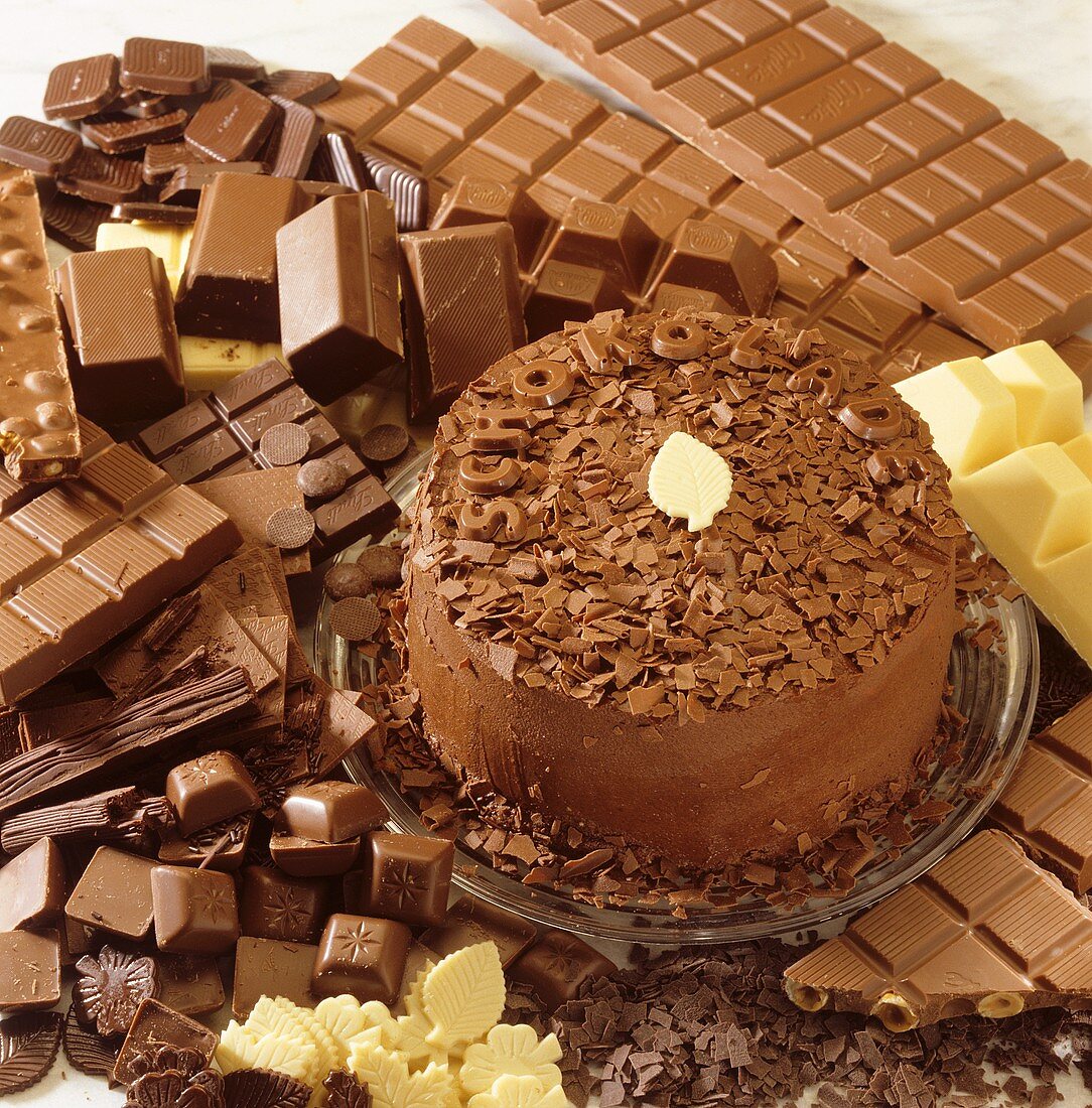 Chocolate mocha cake surrounded by chocolate
