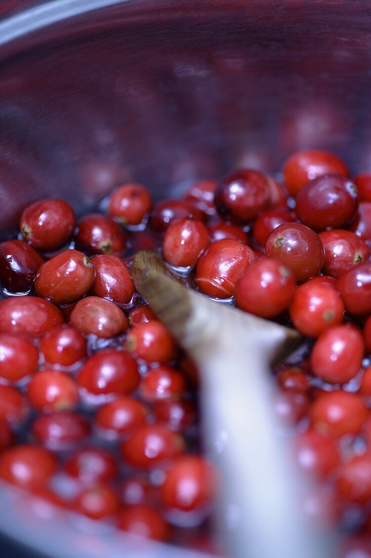 Preiselbeeren kochen