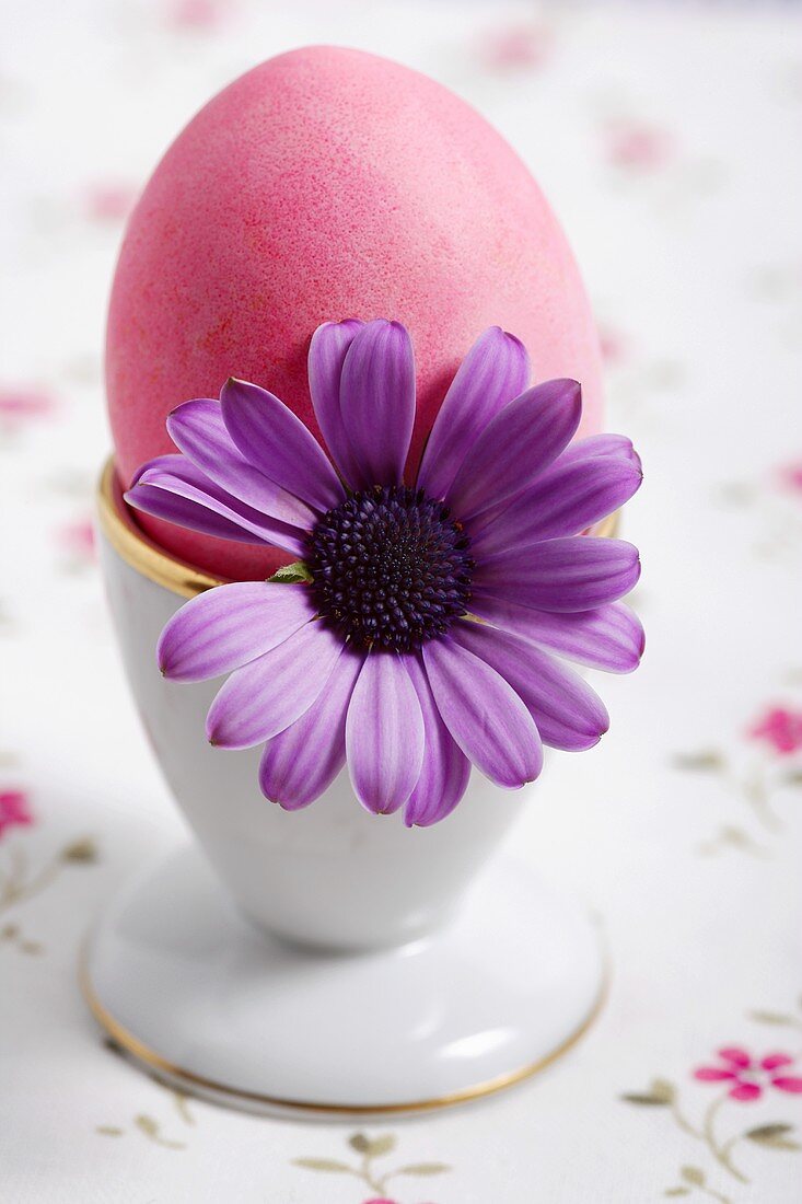 Ein rosa Osterei im Eierbecher mit Blüte