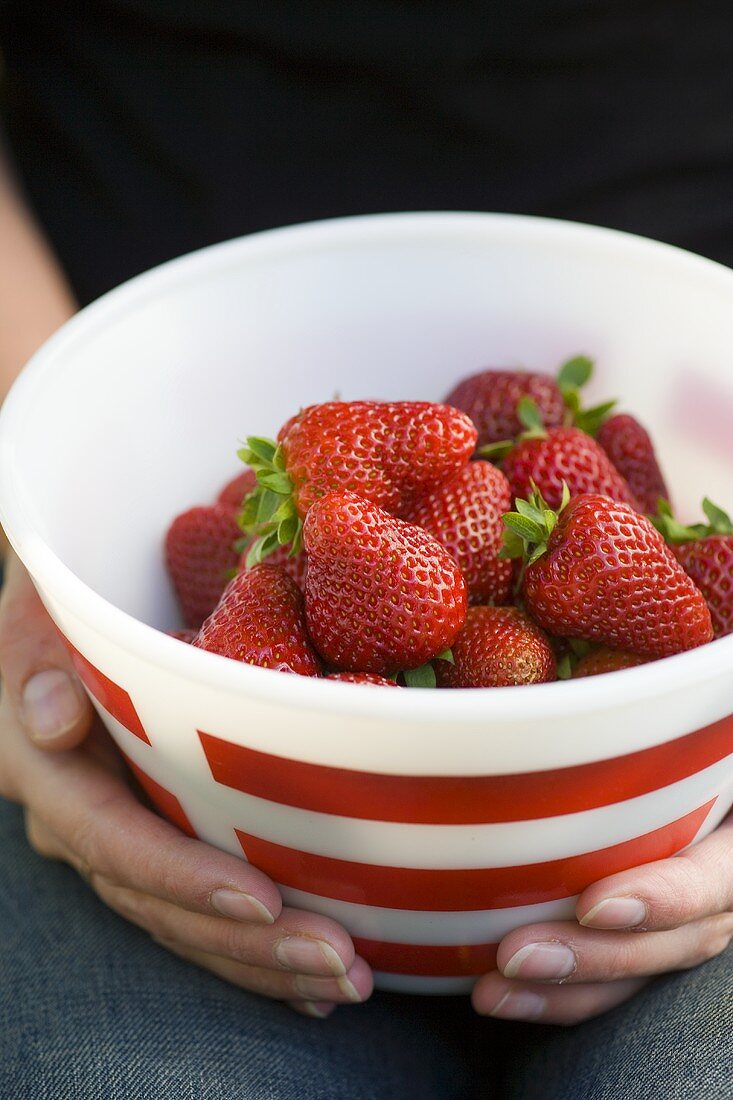 Zwei Hände halten eine Schale mit Erdbeeren