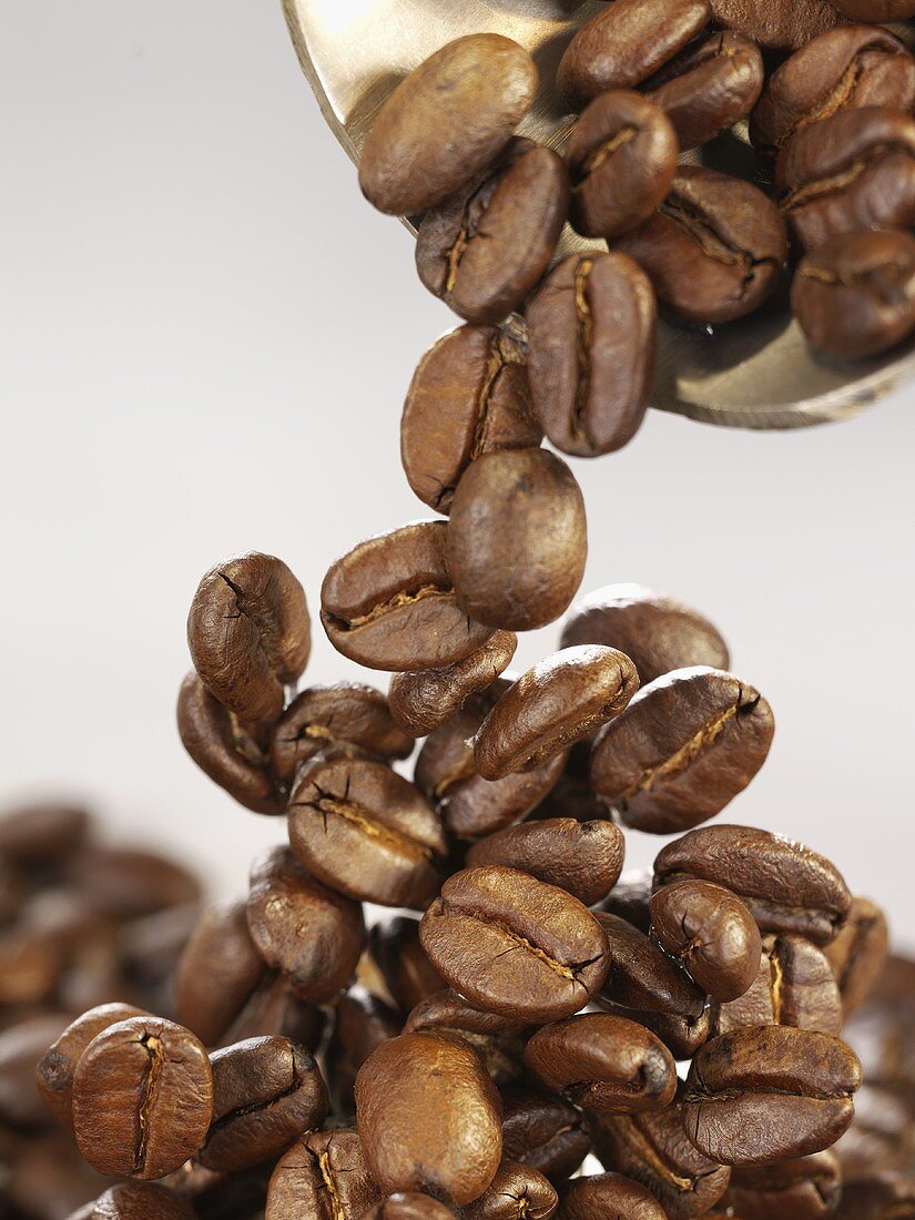 Coffee beans falling out of a scoop