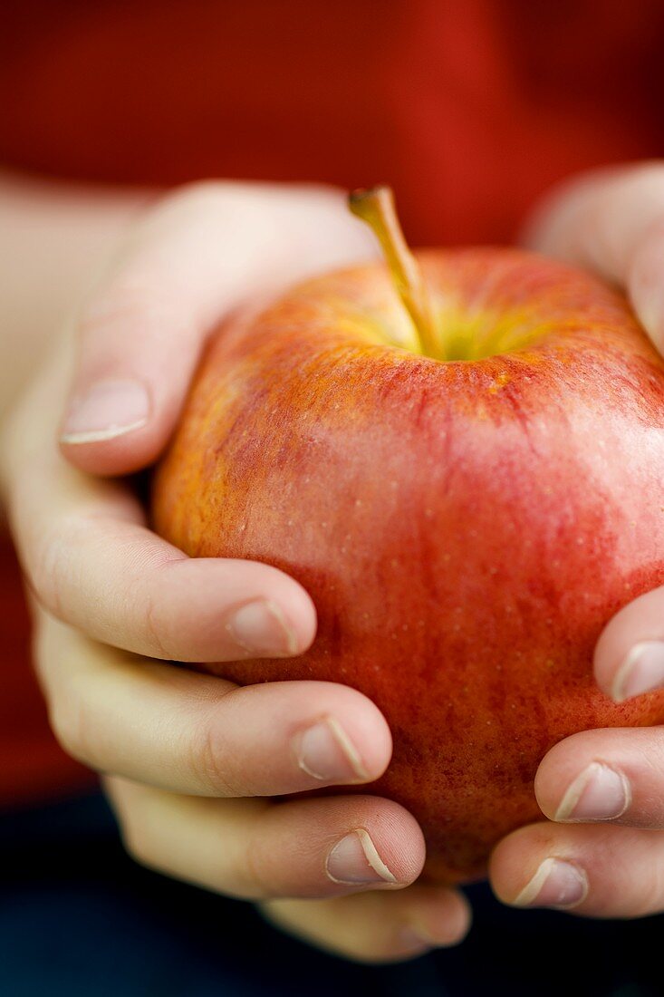 Child's hands holding an apple