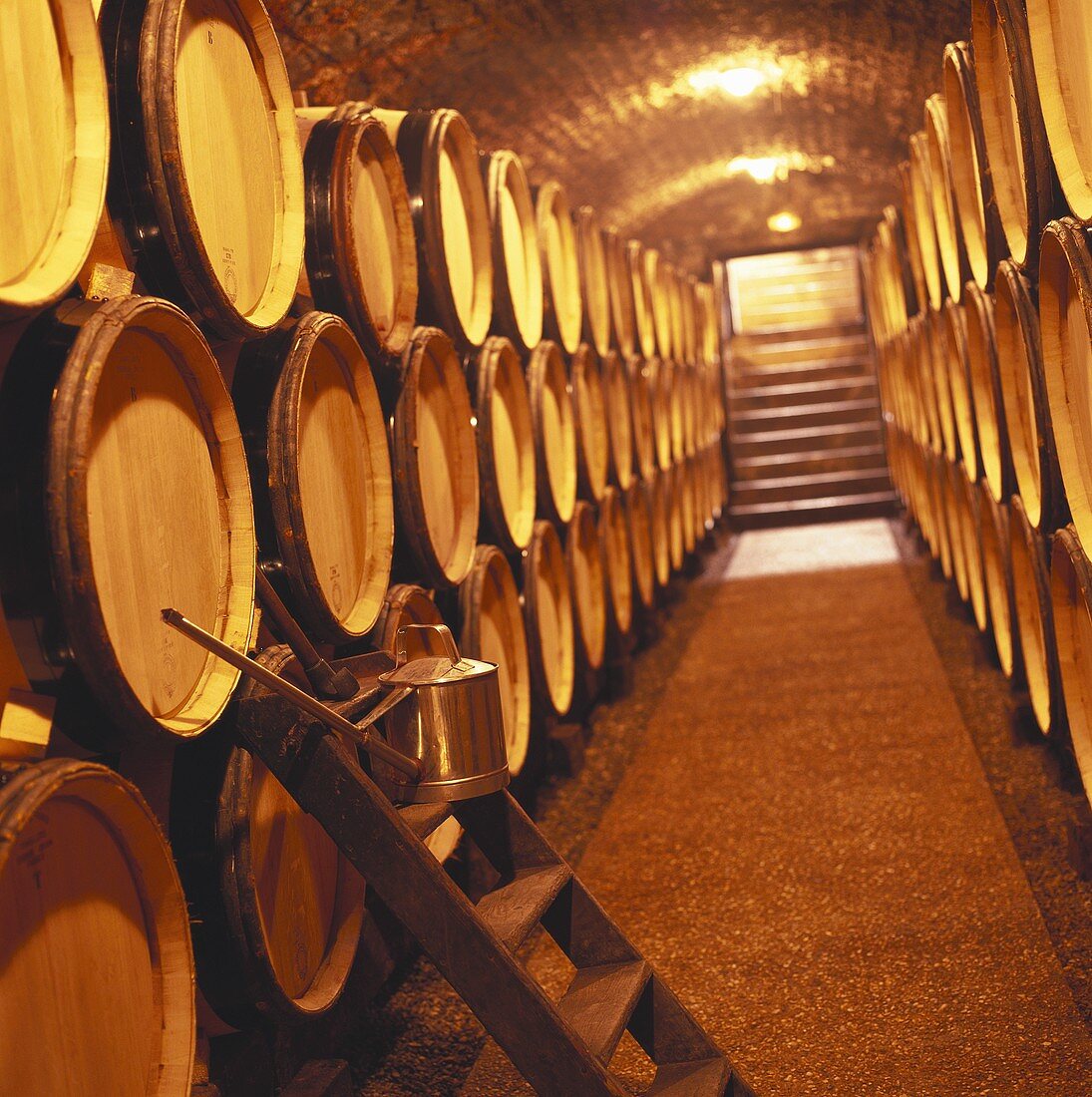Henri Jayer wine cellar, Burgundy