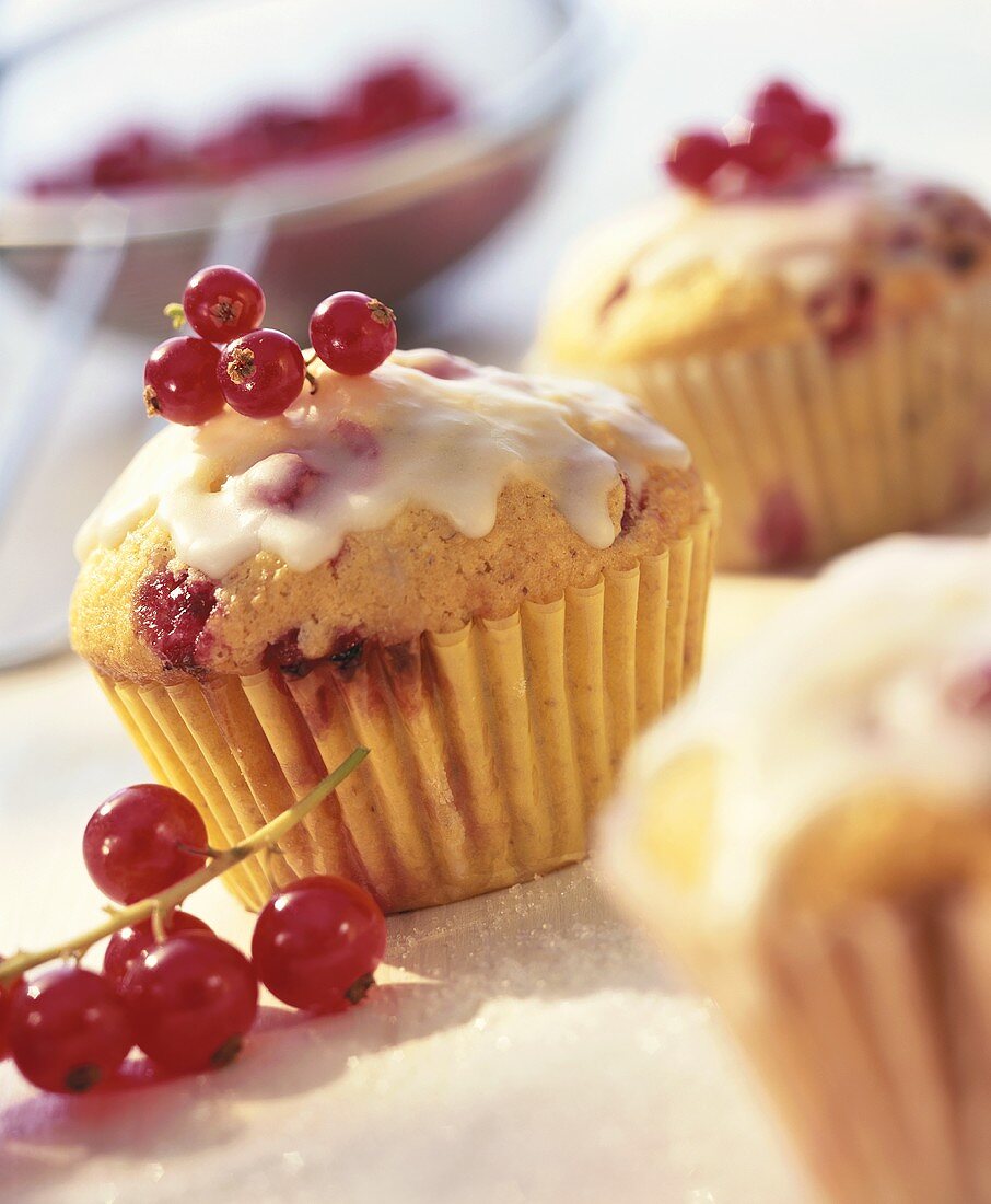 Redcurrant muffins