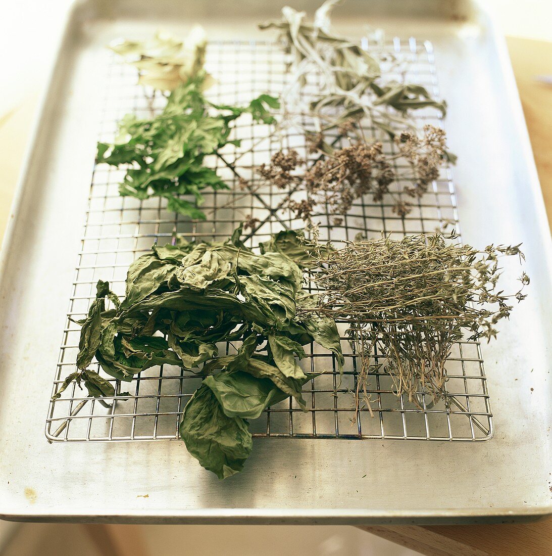 Assorted dried herbs on a rack