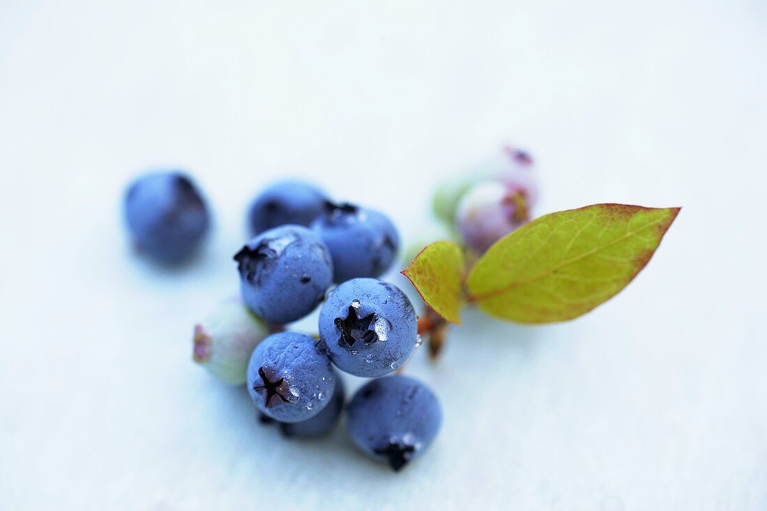 Heidelbeeren mit Blättern