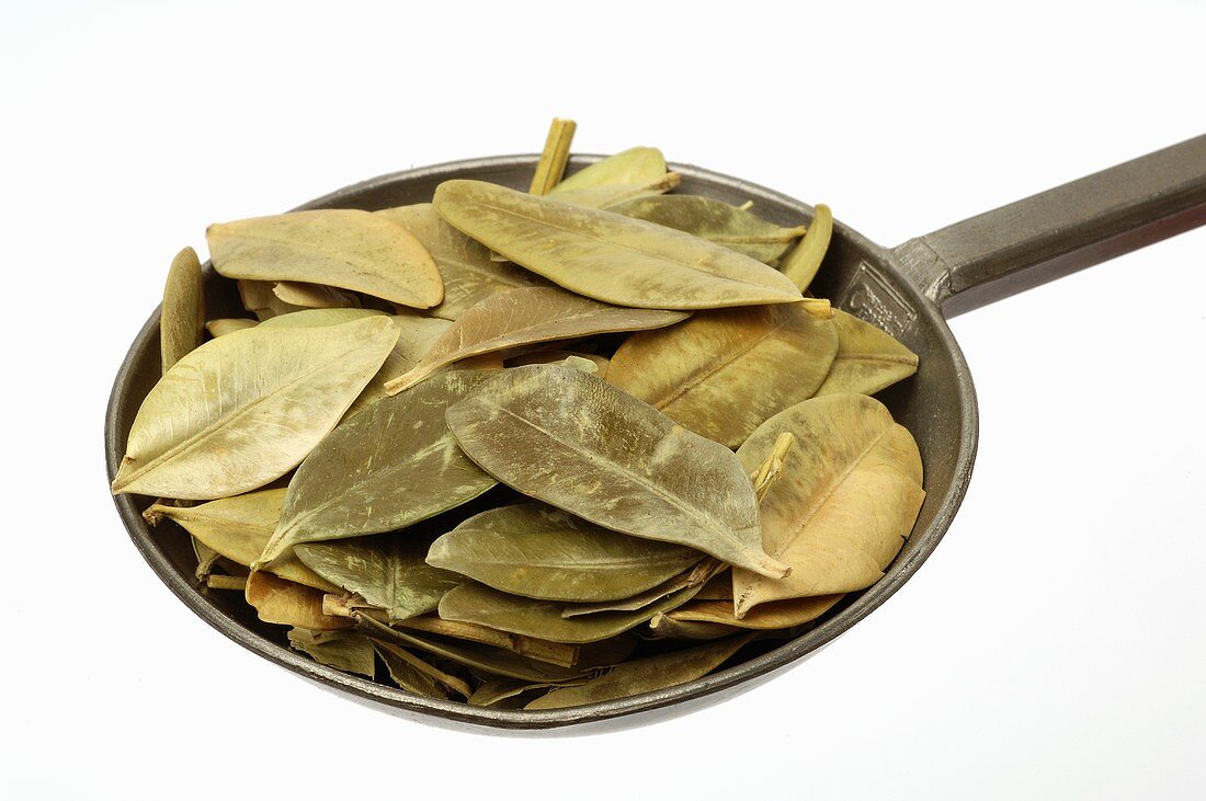 Dried box leaves in a spoon