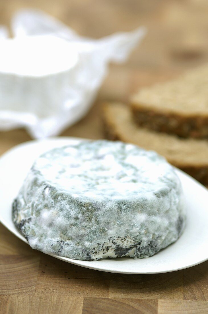 Goat's cheese