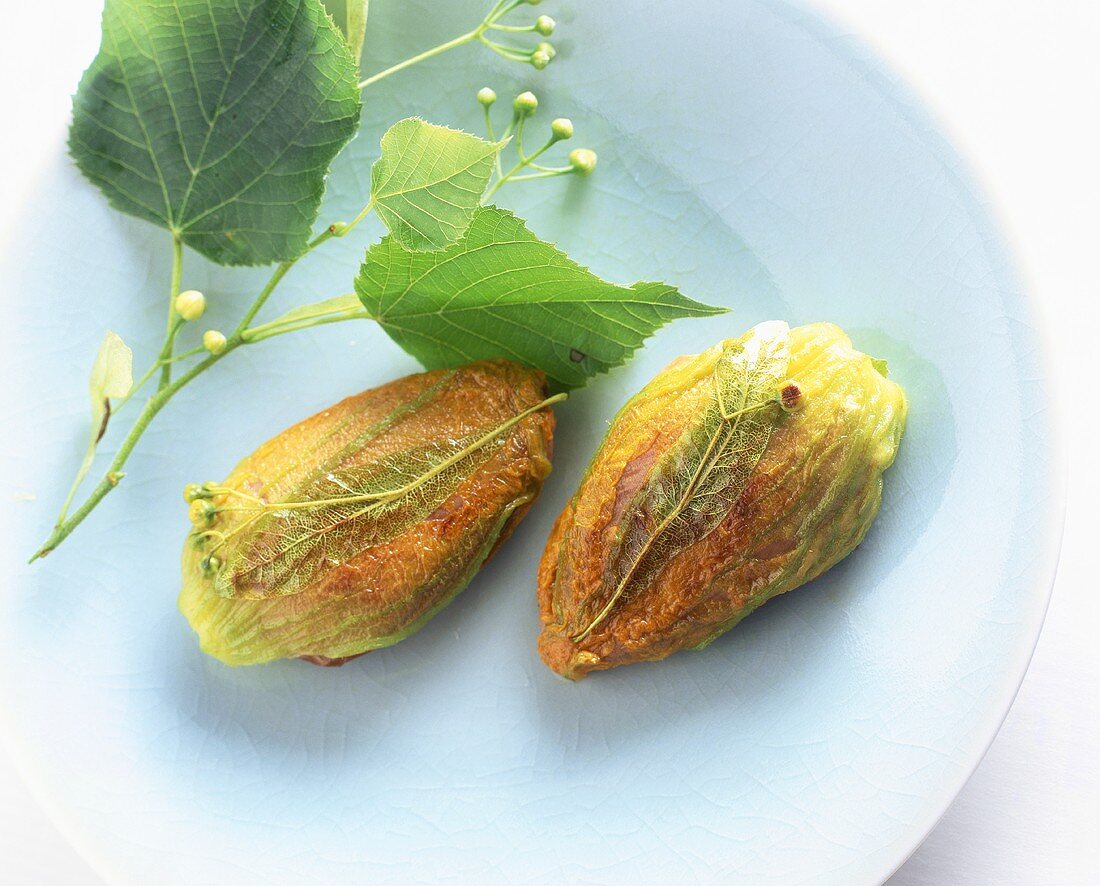 Courgette flowers stuffed with pigeon