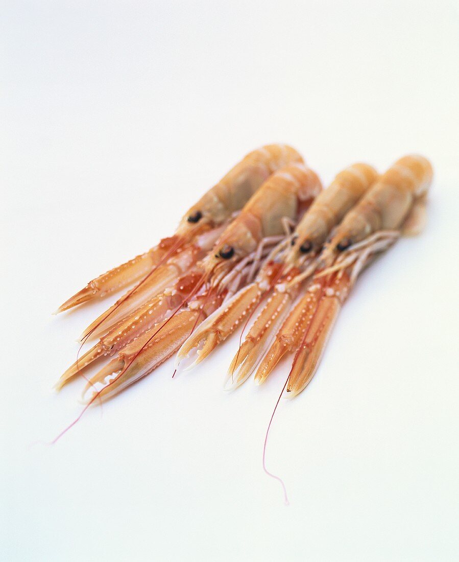 Four scampi