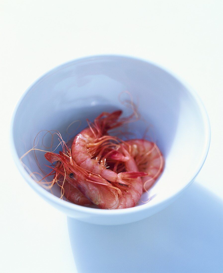 Fresh shrimps in a small white bowl